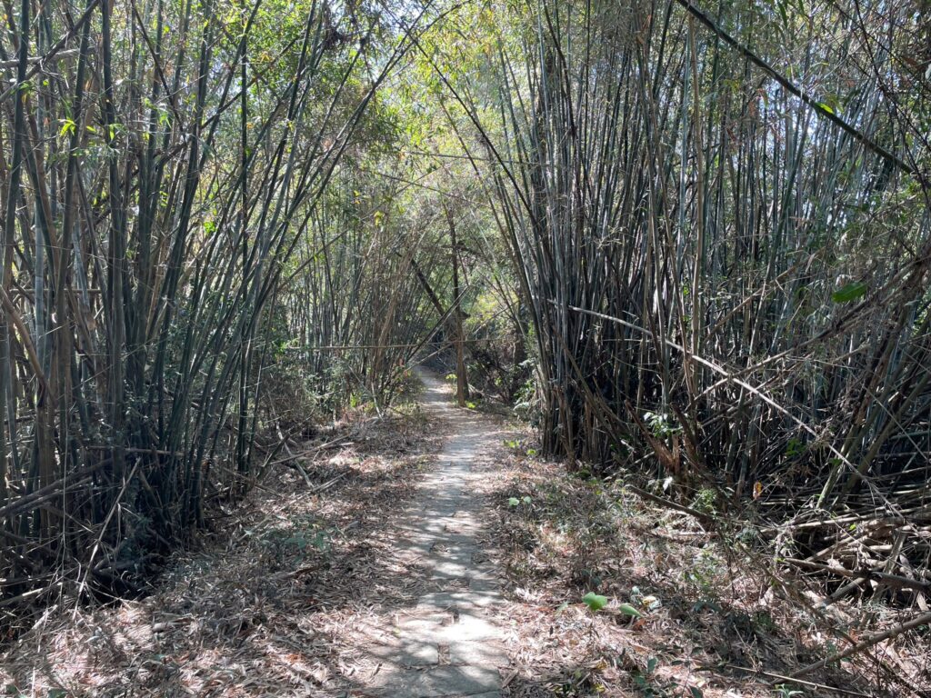 六甲鎮南宮步道