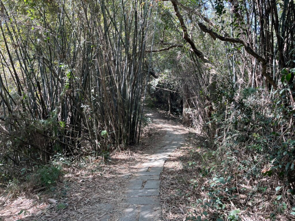 六甲鎮南宮步道