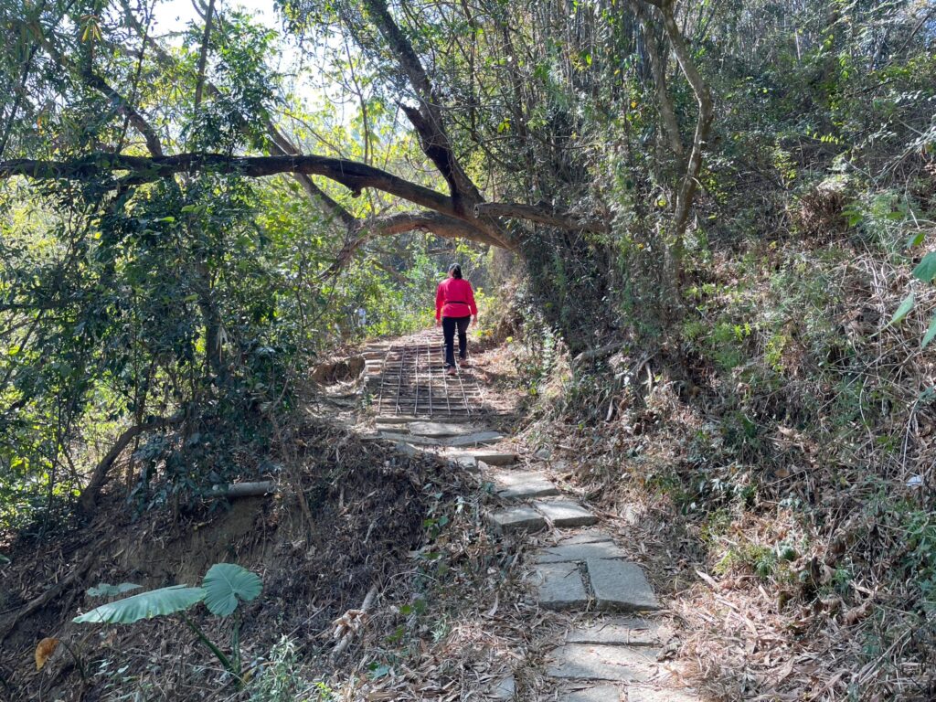 六甲鎮南宮步道