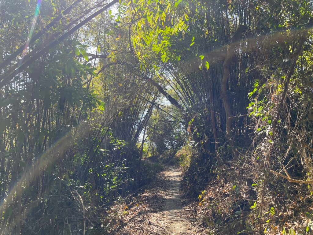 六甲鎮南宮步道