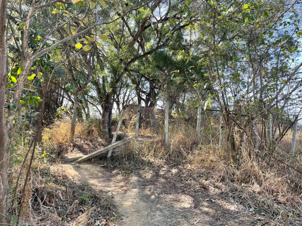 六甲鎮南宮步道