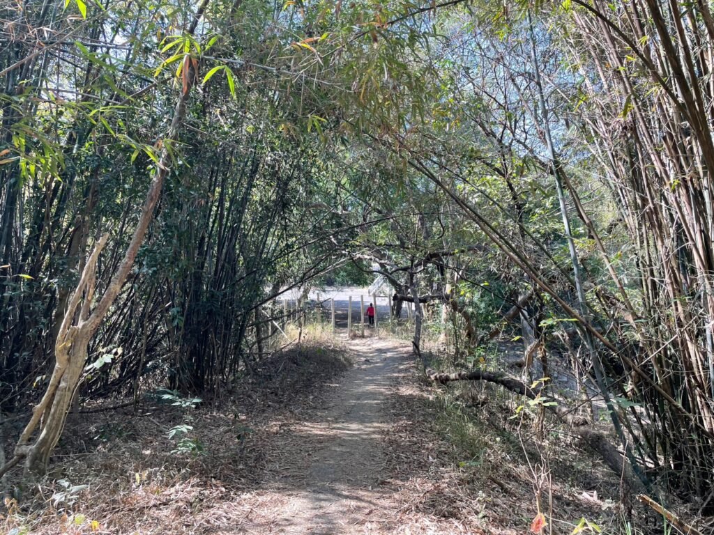 六甲鎮南宮步道